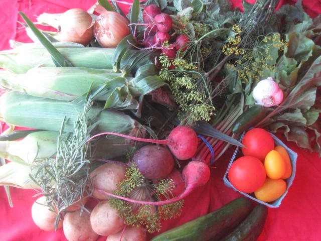 Picture of CSA box in August